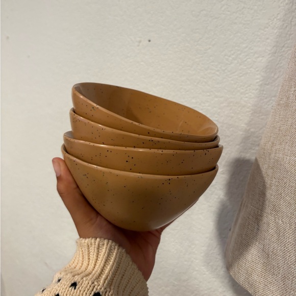 fortessa Other - Fortressa Sandia Dashiell Cereal Bowl set of 4